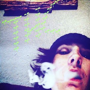 Meet your Posher, Lucy